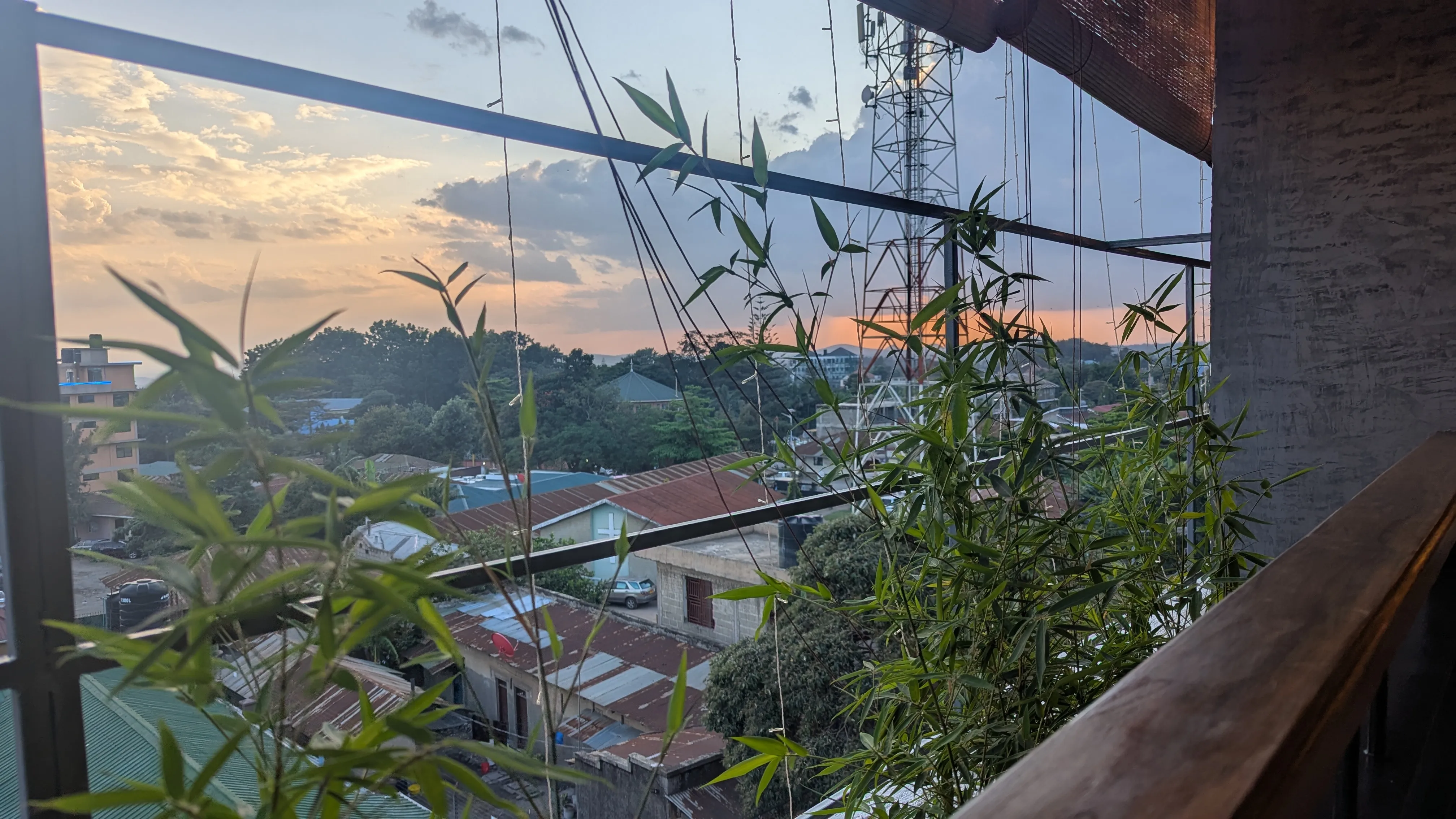 Za barierką z roślinami widać miasto i zachód
słońca