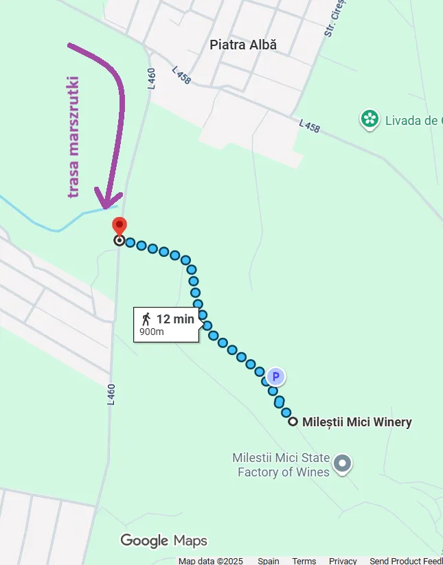 Screenshot z Google Maps z wyznaczoną trasą pieszą od skrzyżowania do
winnicy