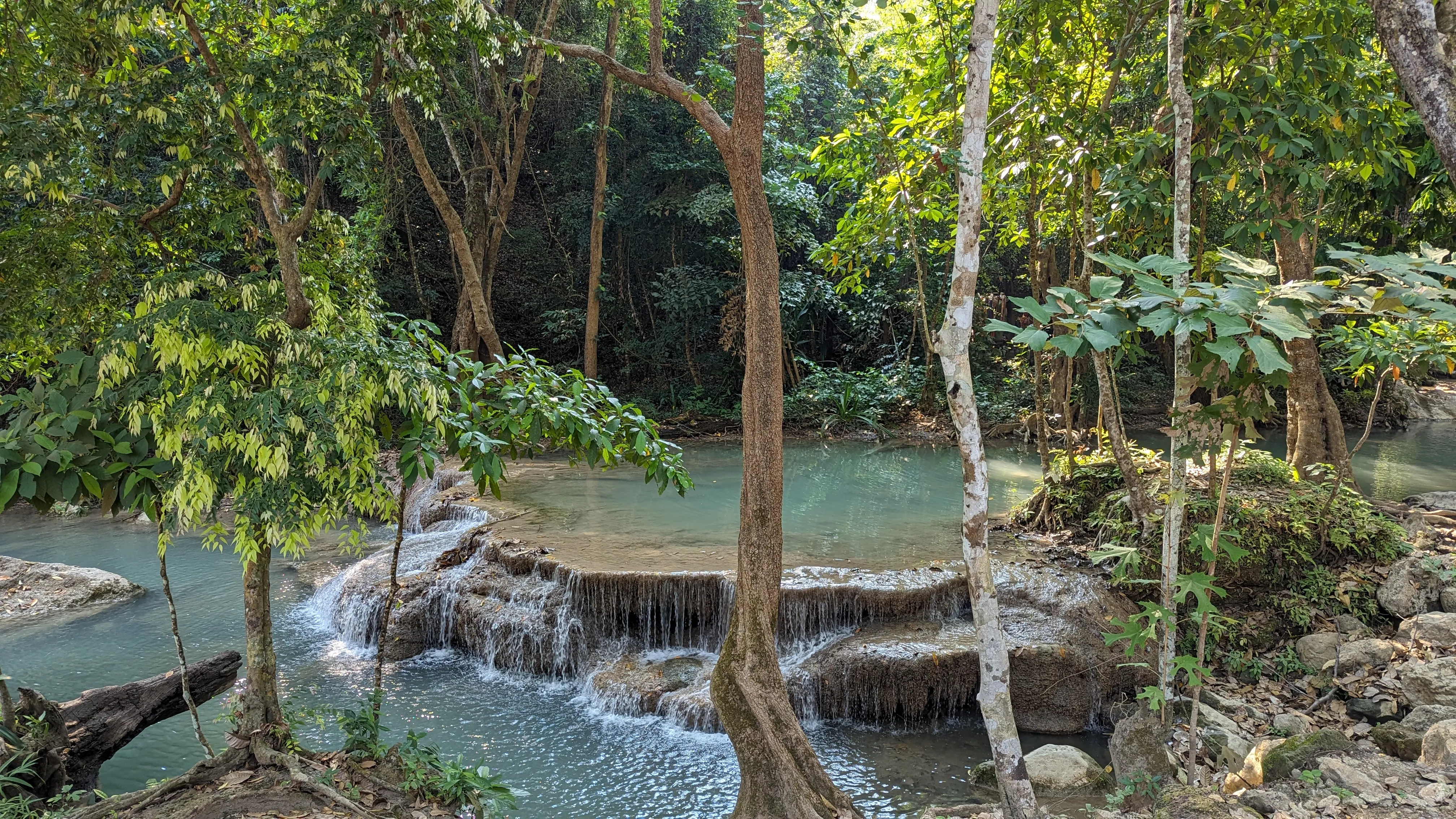 Rzeka z niskim, szerokim spadem w gęstym
lesie