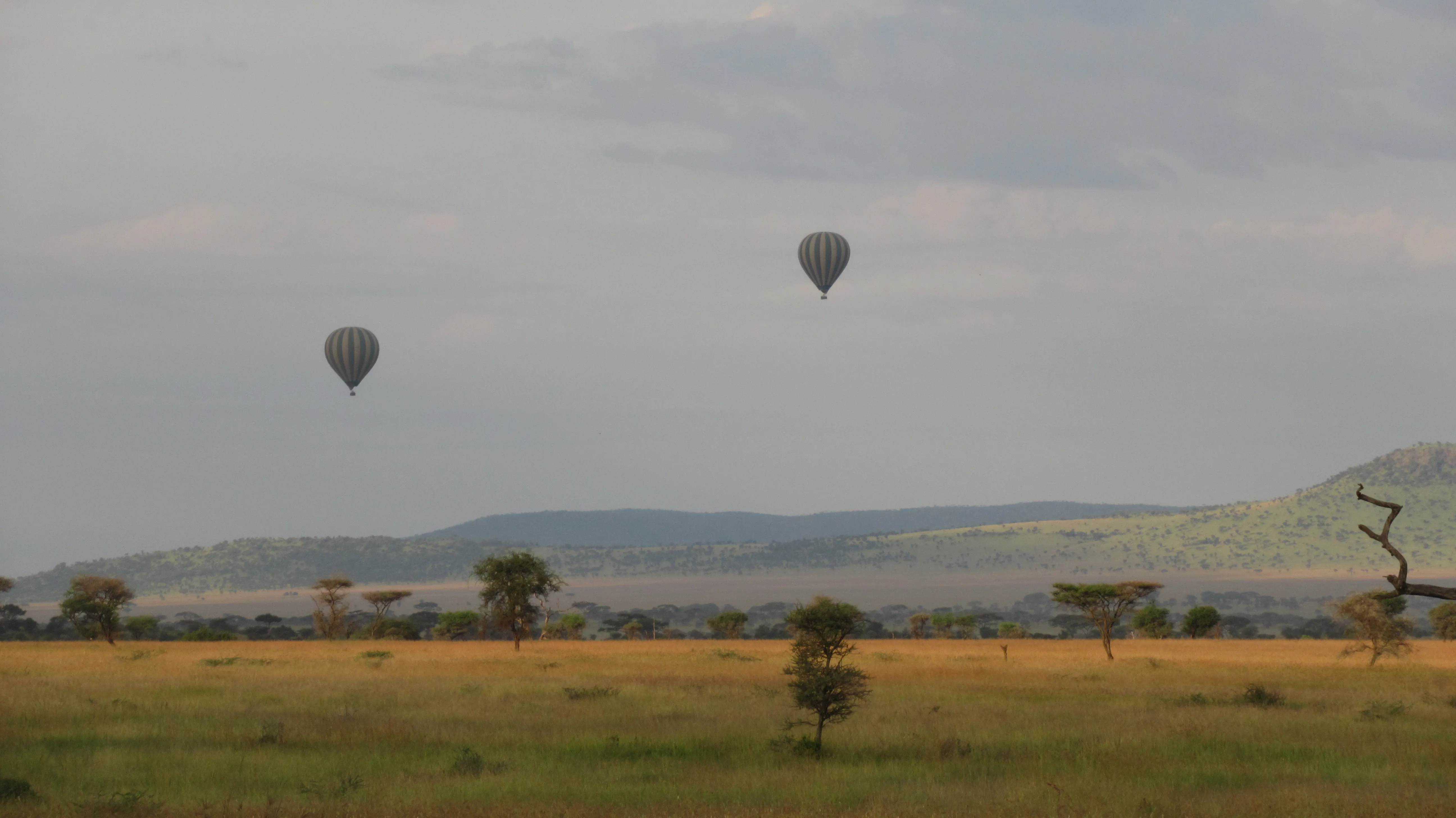 Trawiasta równina z pojedynczymi akacjami, w tle pagórki, w powietrzu unoszą się dwa balony
pasażerskie