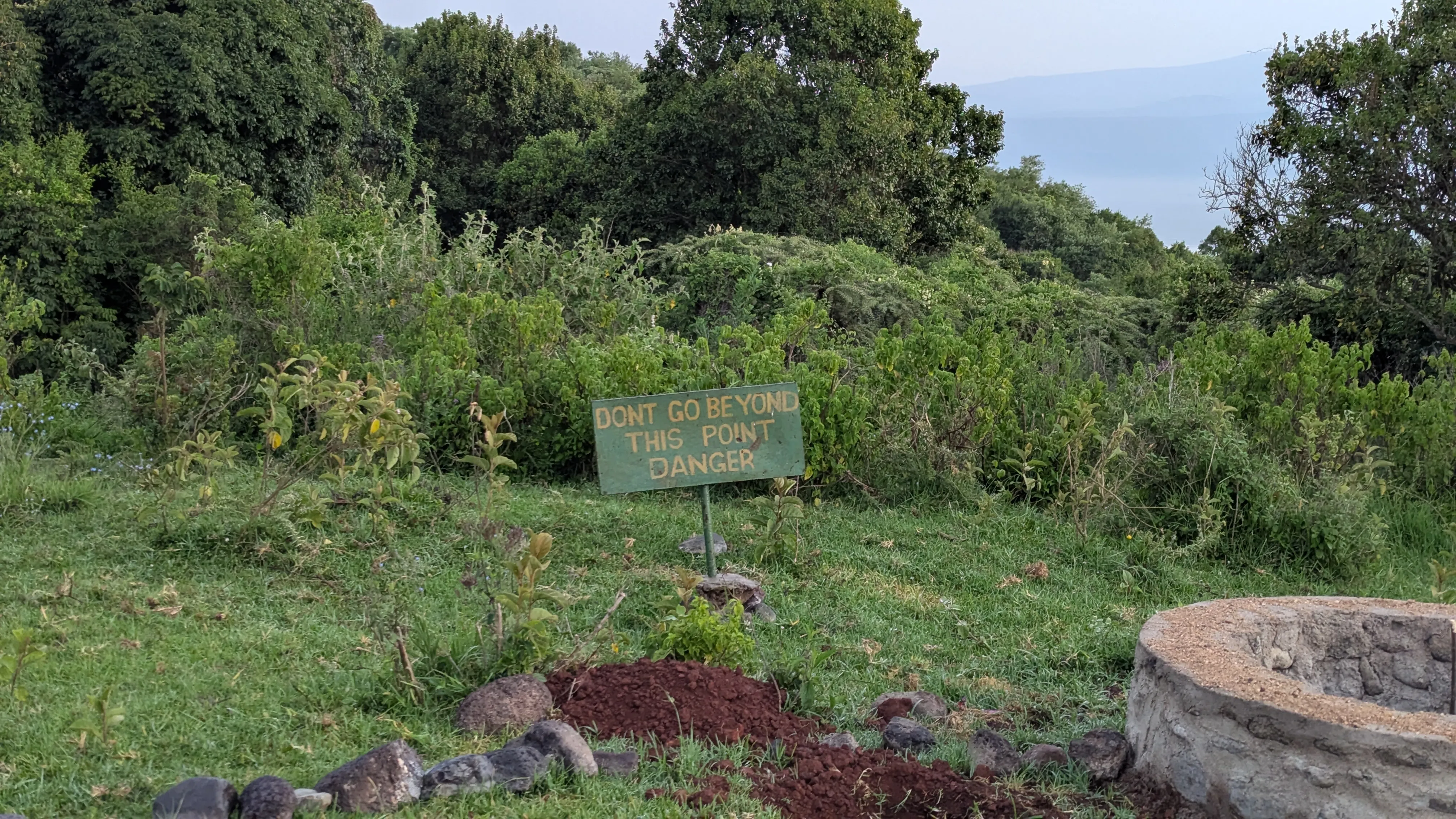 Zielone zarośla, przed nimi tabliczka z napisem don't go beyond this point
danger