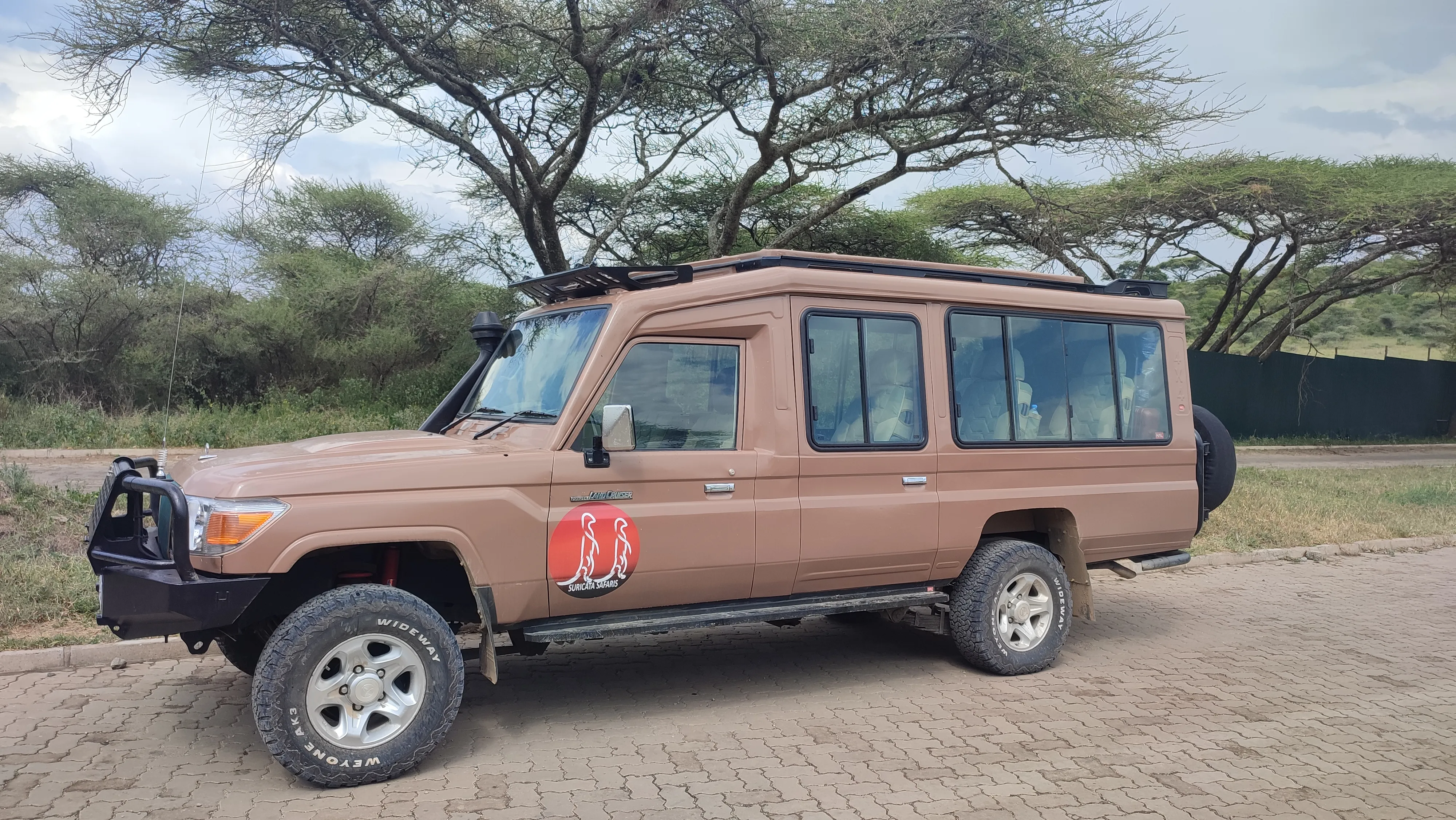 Brązowy samochód do safari z logiem
Suricata