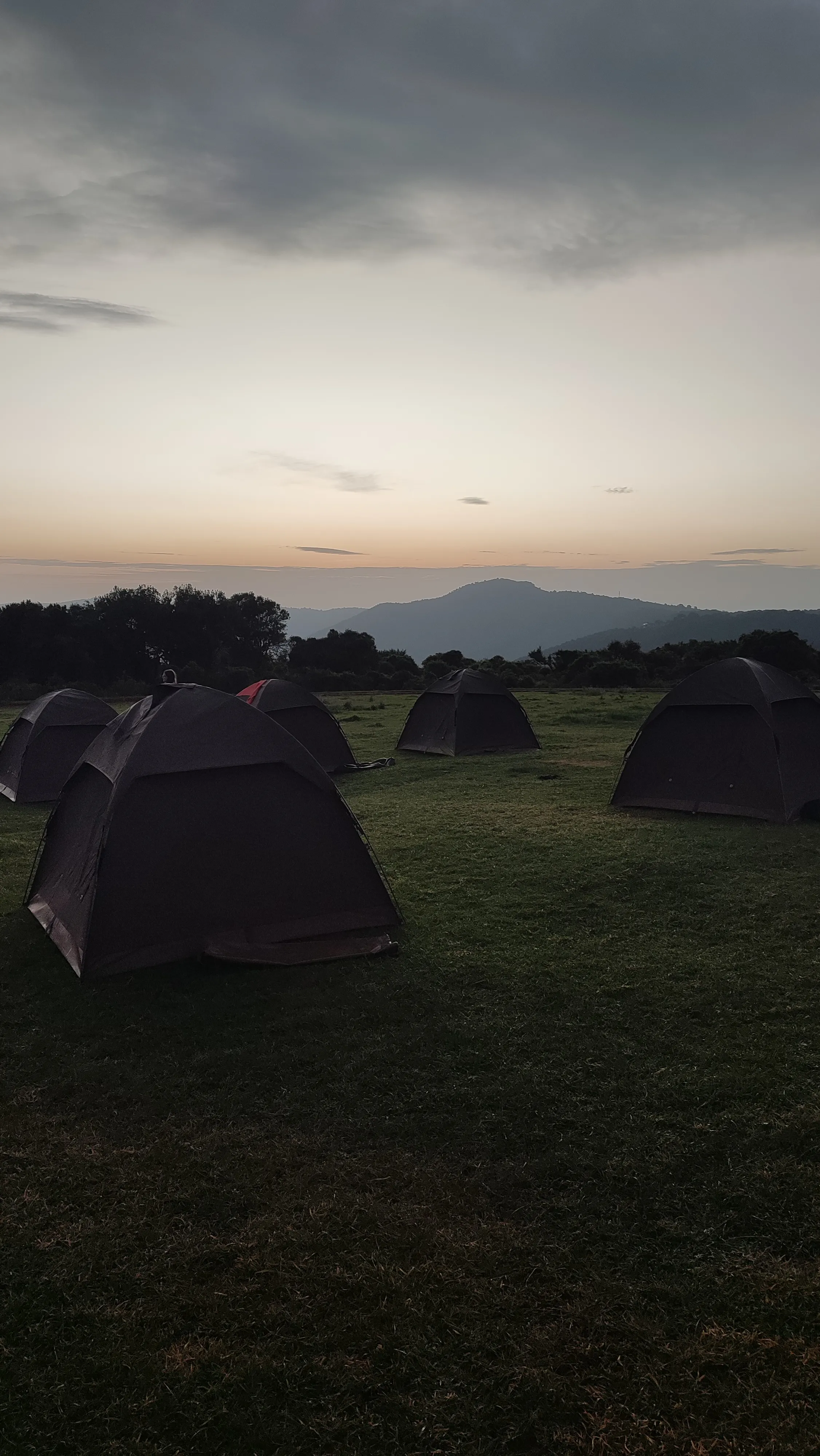 Niewielkie dwuosobowe namioty na trawie, w tle
góry